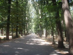 Parco-delle-Cascine-di-Firenze