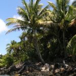 Intervista al tour operator del Madagascar Alfonso Donnarumma