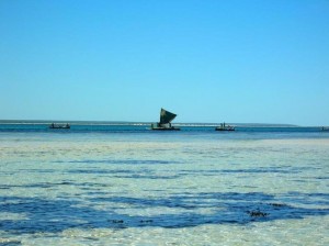 Vacanze in Madagascar