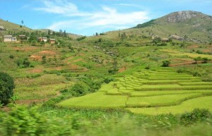Vacanze in Madagascar