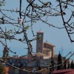 Vacanze nelle Marche: benvenuti al Country House Chiaraluce