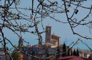 veduta di massignano