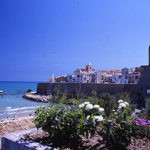 Termoli: netta ripresa del turismo