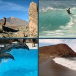 Vacanze a Tenerife: mare, sole e divertimento