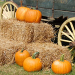 Halloween in Sicilia tra zucca, pupatelli e martorana