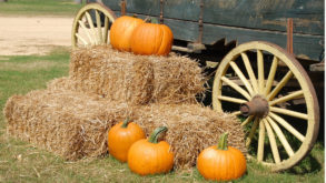 Halloween in Sicilia tra zucca, pupatelli e martorana