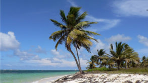 Dall’Italia ai Caraibi. Investire costruendo un villaggio: la storia di David