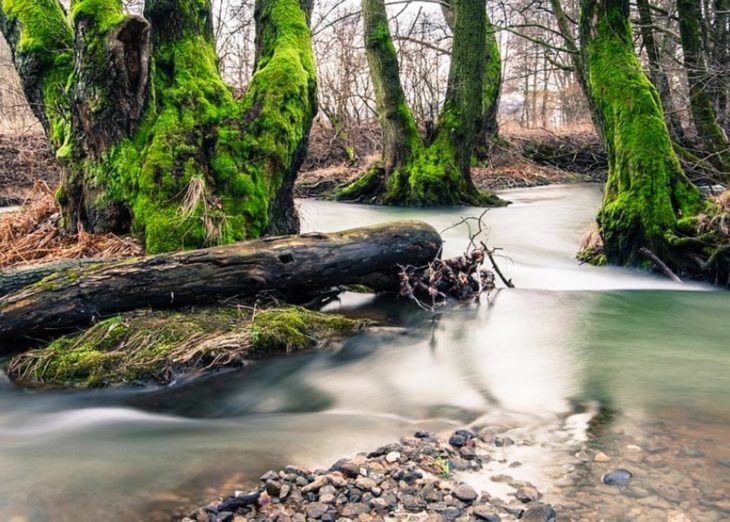 Turismo ecosostenibile